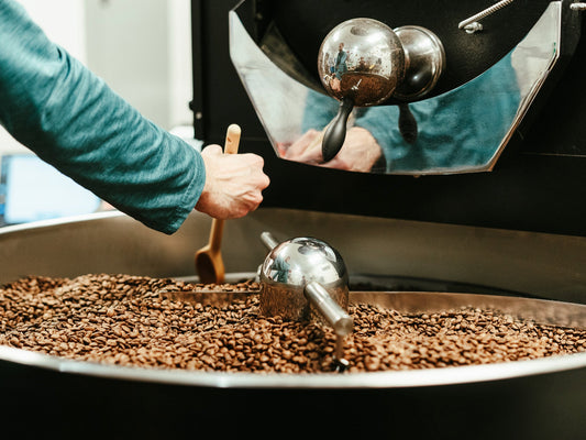 Light Roasts and Dark Roasts and Profile Roasts, Oh My!