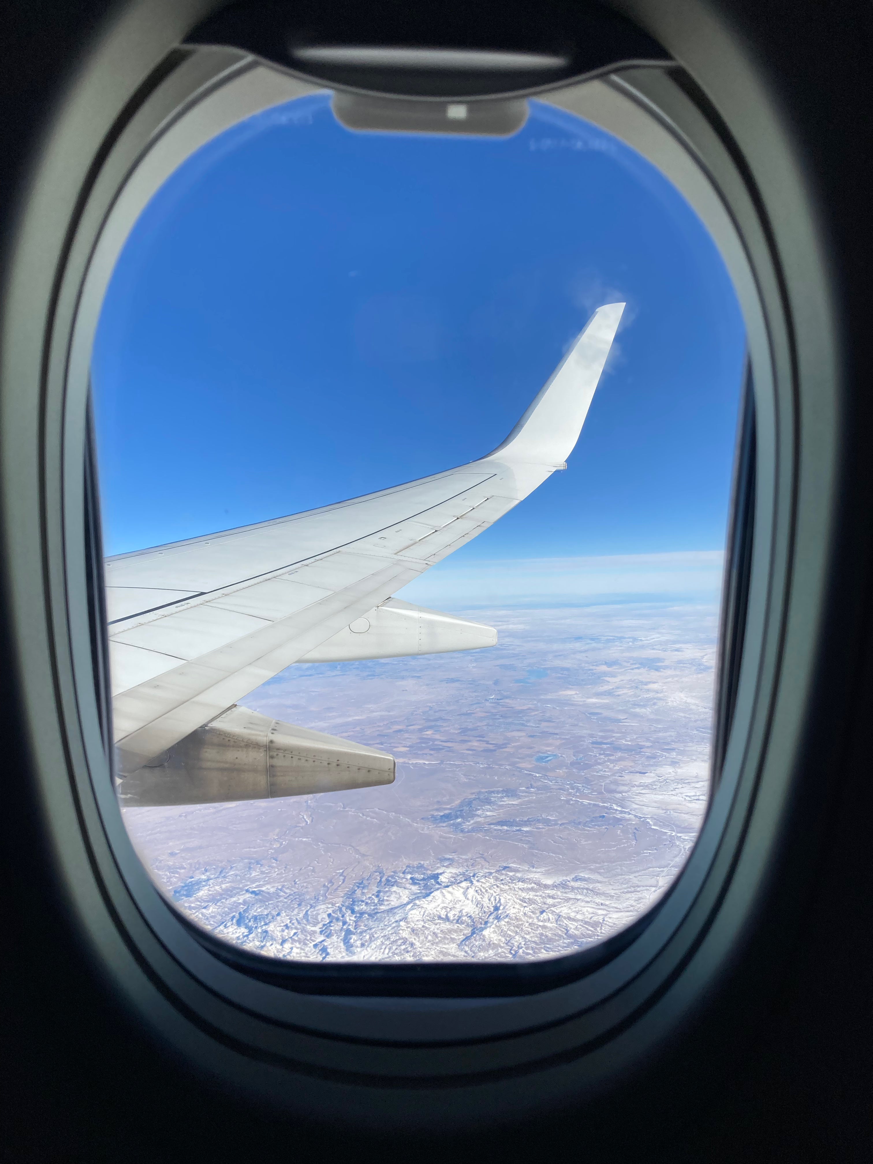 Can You Bring Whole Bean Coffee on a Plane? – Window Seat Coffee